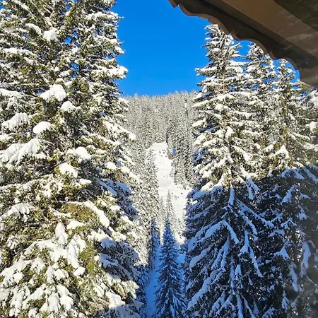 Panorama Warth Pensionat 3*